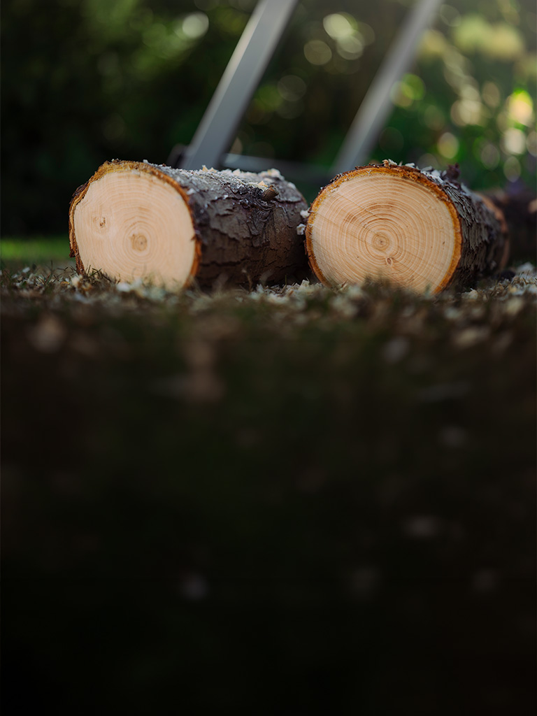 Close-up of two freshly sawn tree logs on a lawn in a garden, with a sawhorse blurry in the background.