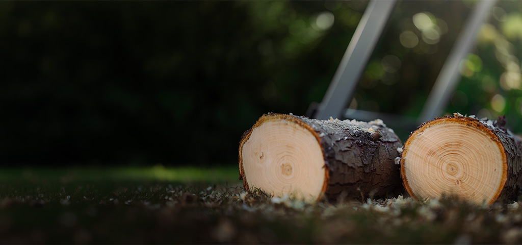 Close-up of two freshly sawn tree logs on a lawn in a garden, with a sawhorse blurry in the background.