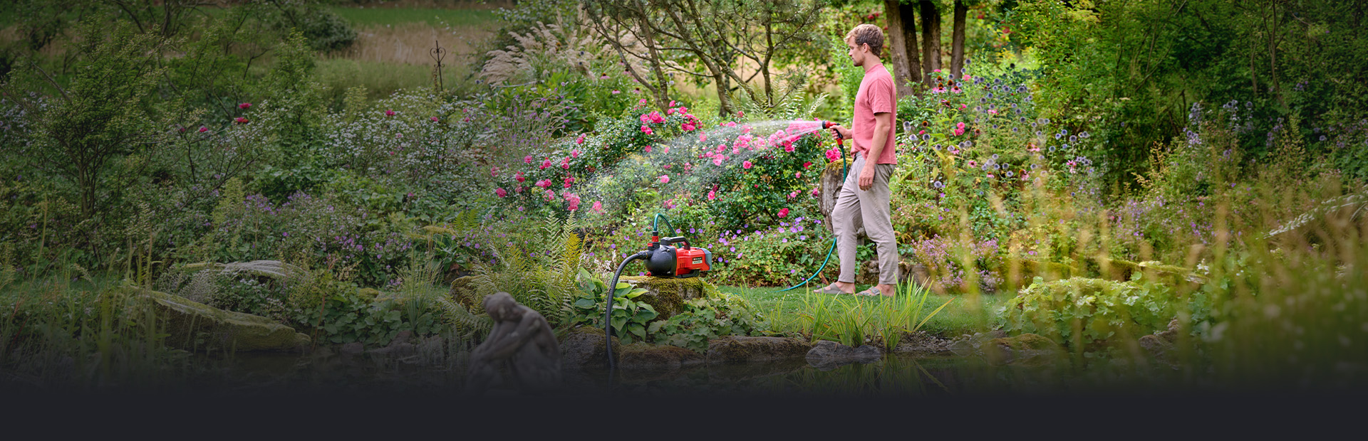 A man waters a red flowering hedge with a hose connected to a red Einhell garden pump.