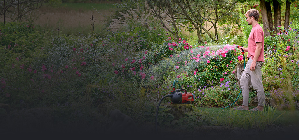 A man waters a red flowering hedge with a hose connected to a red Einhell garden pump.